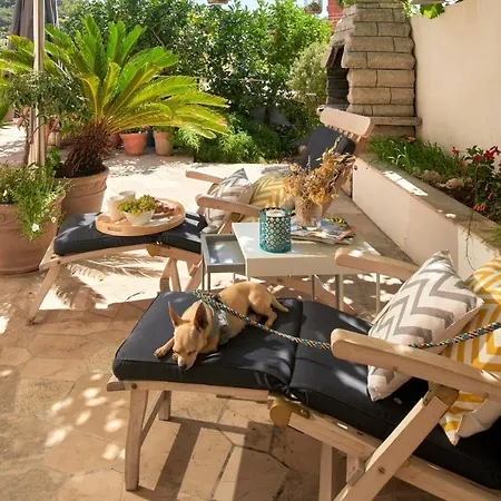 Apartament Oasis *