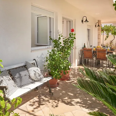 Oasis *